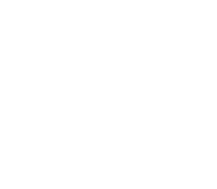 Rodrigo Gomes Monteiro
